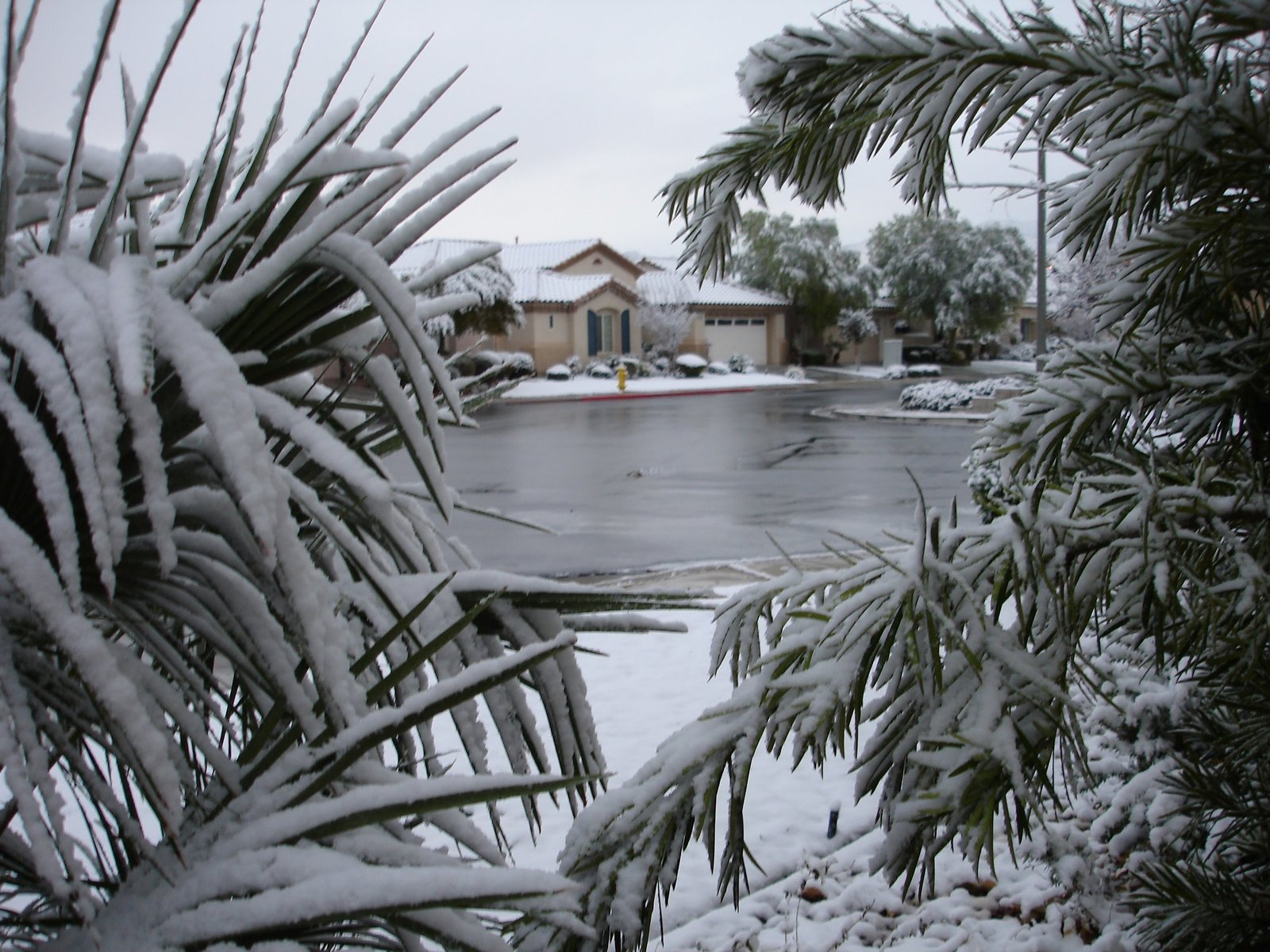 Snowstorm - December 2006