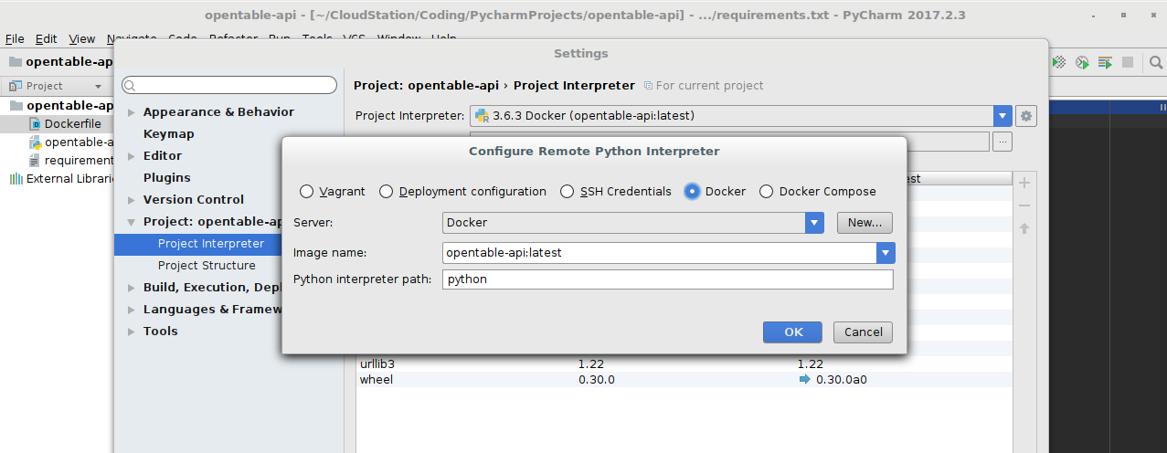 PyCharm Profession in Linux with Docker CE.